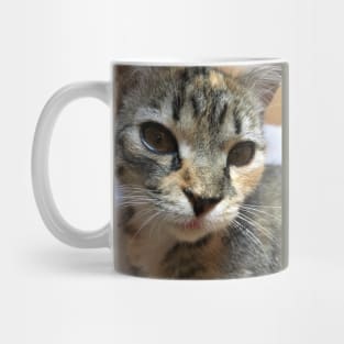 The sweet kitten Mug